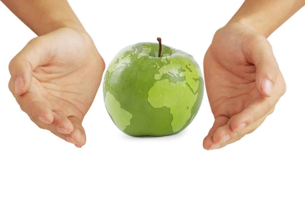 L’industrie agroalimentaire régionale prend le virage du développement durable