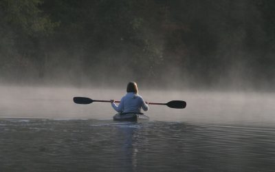 LE DÉVELOPPEMENT DURABLE DANS UNE ENTREPRISE TOURISTIQUE DE PETITE TAILLE | LE CAS D’AVENTURE ROSE-DES-VENTS