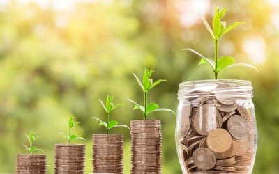 Consigne et responsabilité élargie des producteurs – Comment les entreprises doivent se préparer?