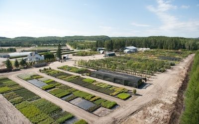 Prix en développement durable de la CCI Saguenay-Le-Fjord : la pépinière Boucher, championne!