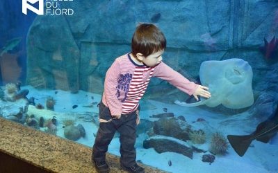 Une démarche en développement durable exigée pour les institutions muséales du Québec