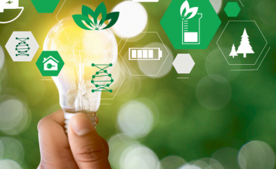 Formation : conquérir les marchés grâce au développement durable