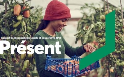 Cas concret de Desjardins