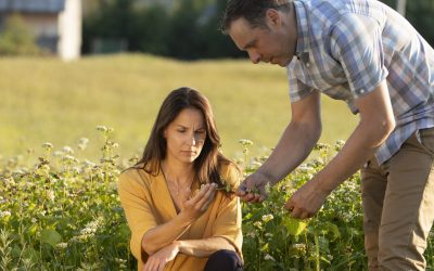 Ferme Tournevent : des pratiques d’affaires écoresponsables inspirantes dans le secteur agroalimentaire