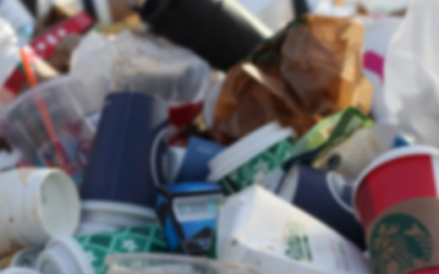 Fini les plastiques à usage unique!